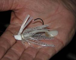 Mike Foree will target bed fish with a small white jig.
