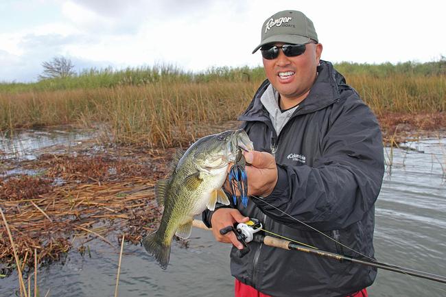 Heavily weighted punch baits are a key part of your arsenal when targeting bass in heavy cover.