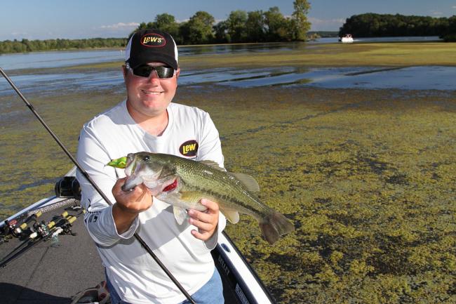 Micheal Neal hauls in a hefty largemouth bass through the thickest of mats. 