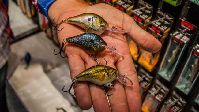 Though it's not necessarily a new bait, this new photographic finish Rapala released looks almost better than the real thing giving new life to their crankbait lineup. There are five colors in the initial lineup that are available on the DT series, Shad Raps and Original Floater. 