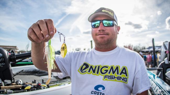 4. Bradley Dortch lived and died with a 3/8-ounce Picasso spinnerbait this week. His color choice was white and chartreuse or solid white with double gold willow-leaf blades and a white NetBait BK Swimmer swimbait as a trailer.