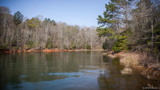 Lake Russell's shorelines are protected from development, which creates a very isolated feeling while on the water.