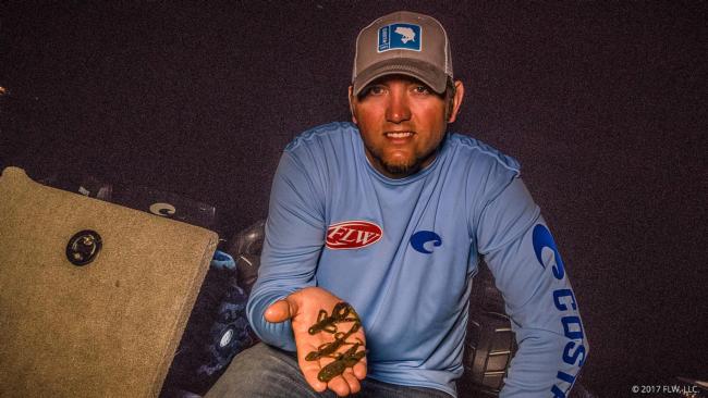 Dylan Hays says he stuck primarily with a Zoom Super Hawg in watermelon candy color and a green pumpkin Zoom Lizard, as well as a 4.25-inch green pumpkin purple Yum Bad Mamma with a 1/4-ounce weight.